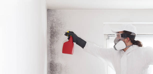 Water Damage Restoration in Derry, PA